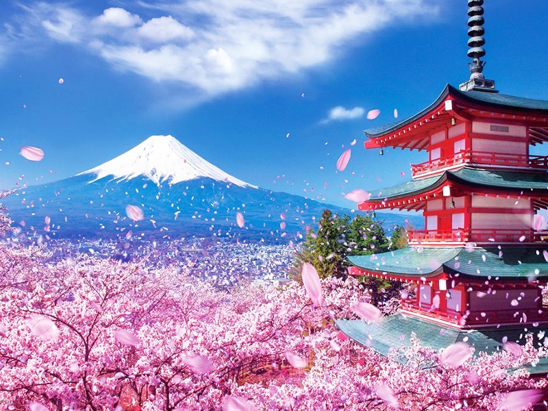 6N5Đ - LỄ HỘI HOA ANH ĐÀO TOKYO – NÚI PHÚ SĨ – NAGOYA – KYOTO – OSAKA