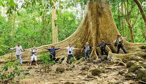 2N1D - TREKKING RỪNG NAM CÁT TIÊN - TÀ LÀI