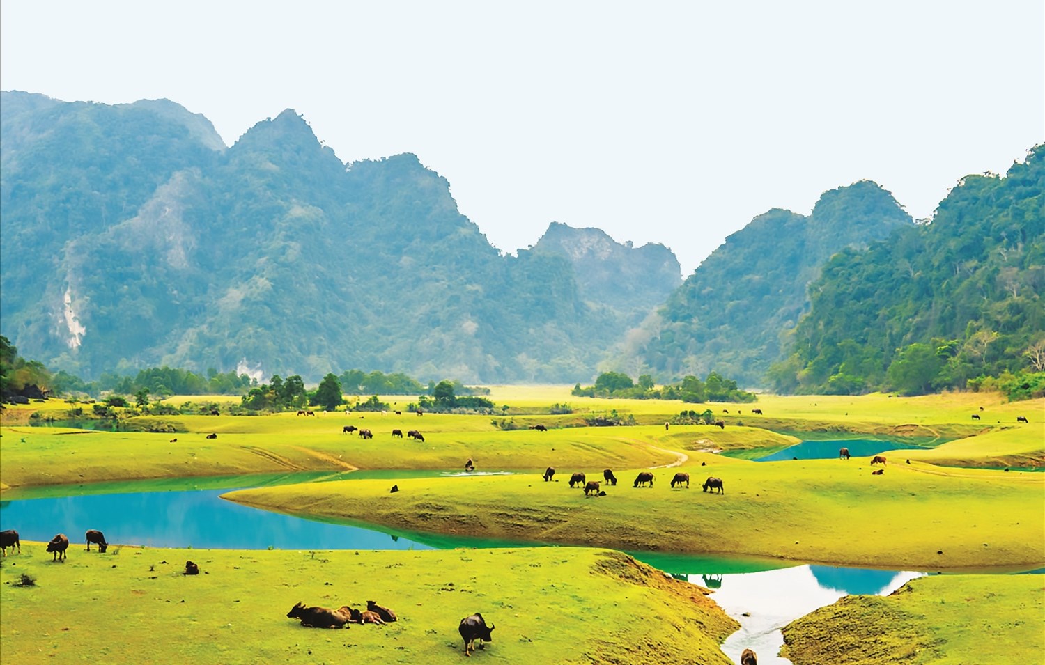 5N4D - HÀ GIANG - SÔNG NHO QUẾ - CAO BẰNG THÁC BẢN GIỐC - THẢO NGUYÊN ĐỒNG LÂM