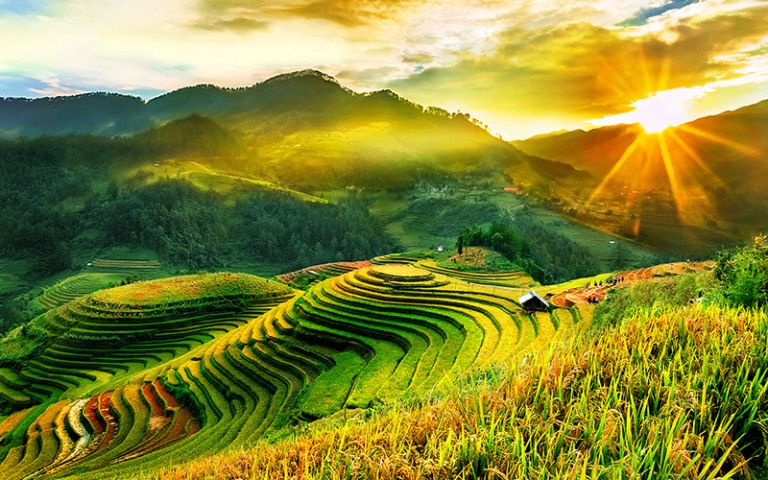 3N3Đ - MÙ CANG CHẢI