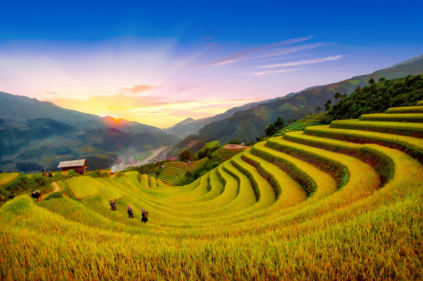 5N4Đ - HÀ NỘI - MÙ CANG CHẢI - BẮC HÀ - FANSIPAN - SAPA - Chinh phục Fansipan