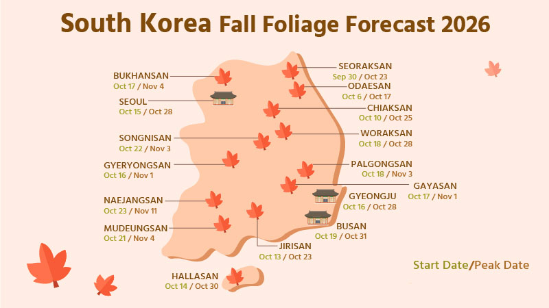 Lịch Ngắm Lá Đỏ Hàn Quốc 2026: Dự Báo Thời Điểm Đẹp Nhất Điểm Đến