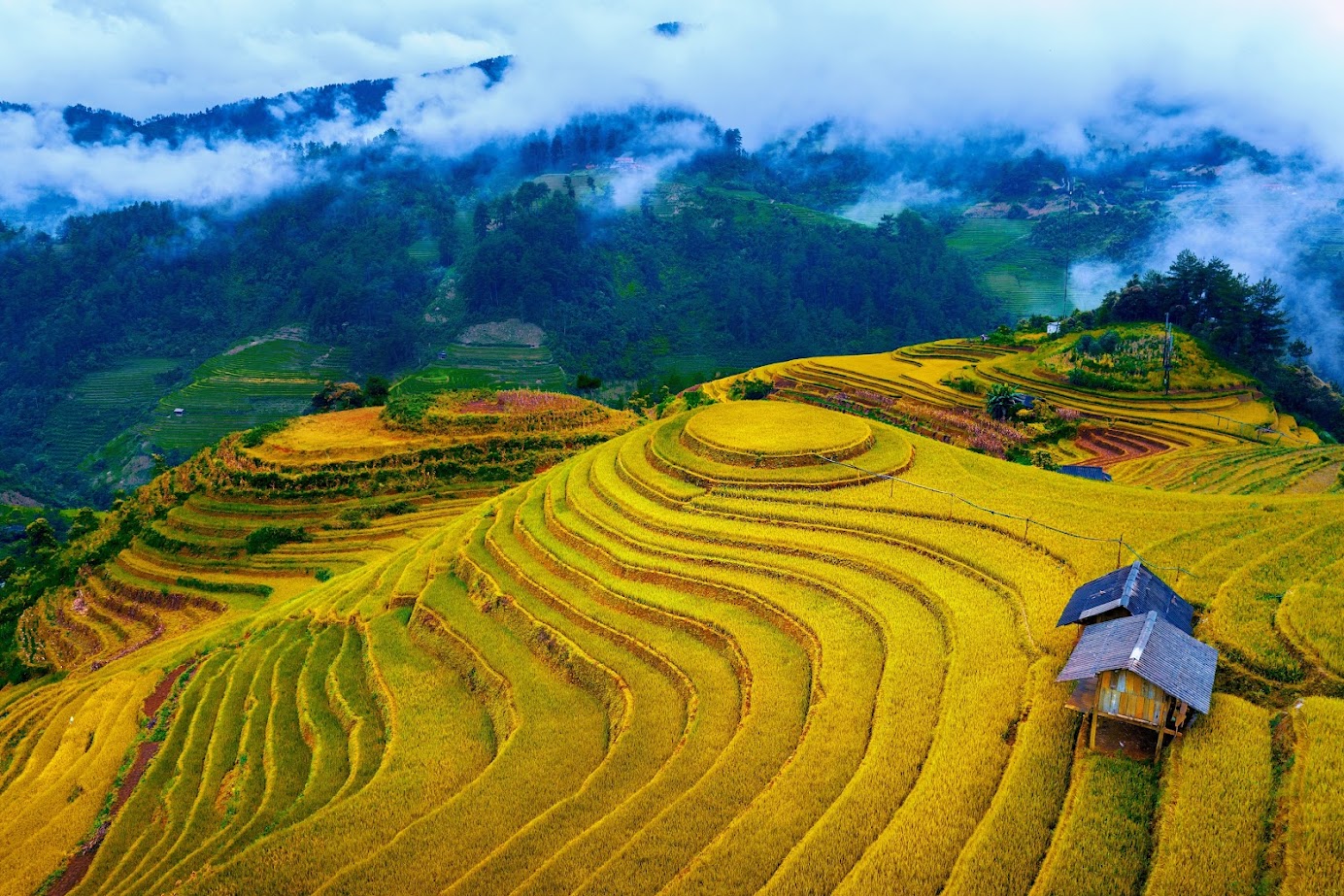 MÙA VÀNG TÂY BẮC : TP.HCM – HÀ NỘI - MÙ CANG CHẢI [5N4Đ]