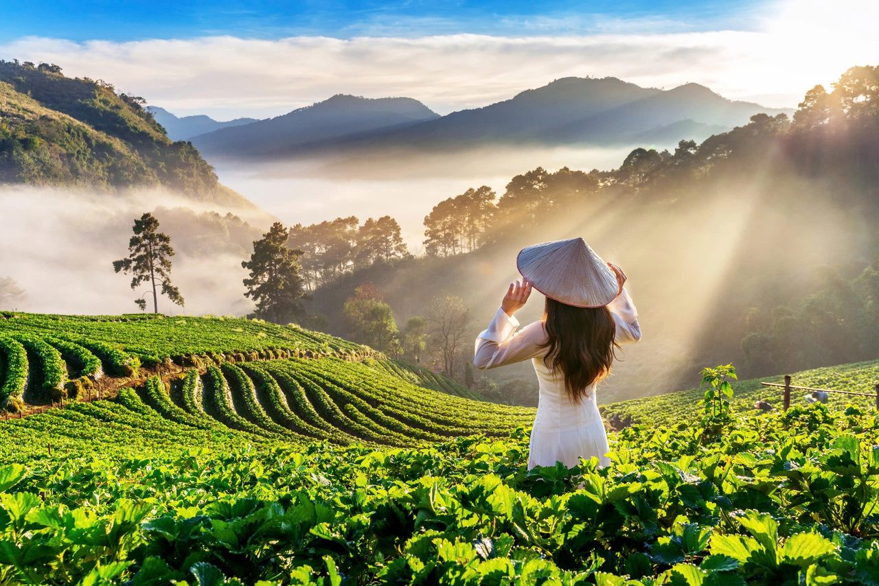 Du khách trong tà áo dài giữa đồi sương sớm