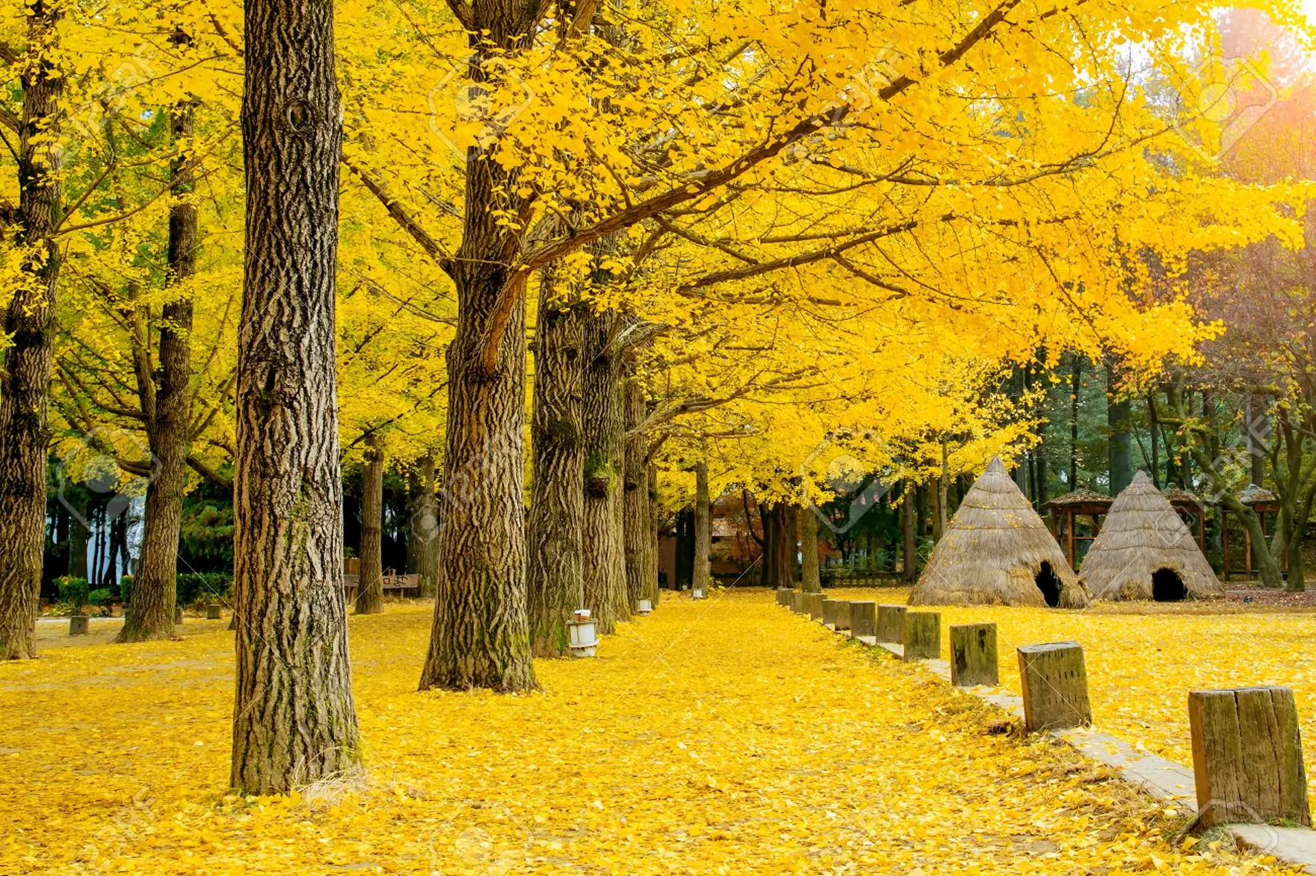 Ngày 2 · Seoul - Nami 