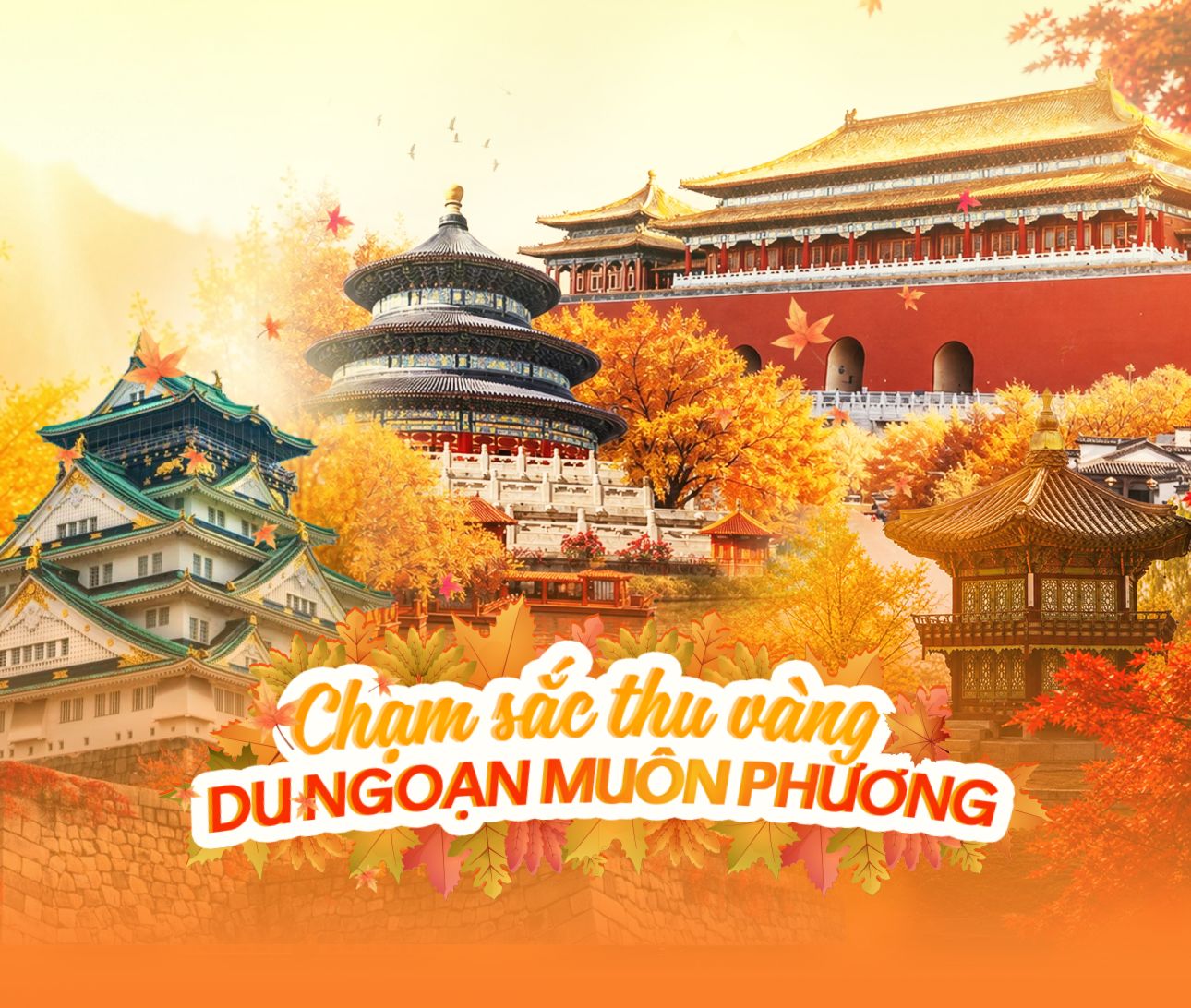 Chạm sắc thu vàng - du ngoạn muôn phương cùng Vitamin Go